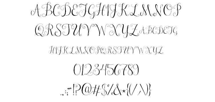 Janda Stylish Monogram font