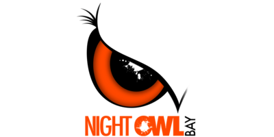 ᐈ Owl logo: 20+ examples of emblems, design tips | Logaster