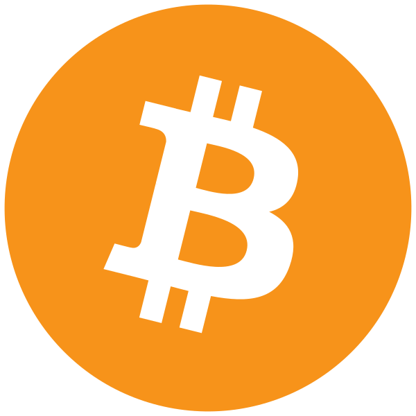 Bitcoin Icon 2010 by Bitboy